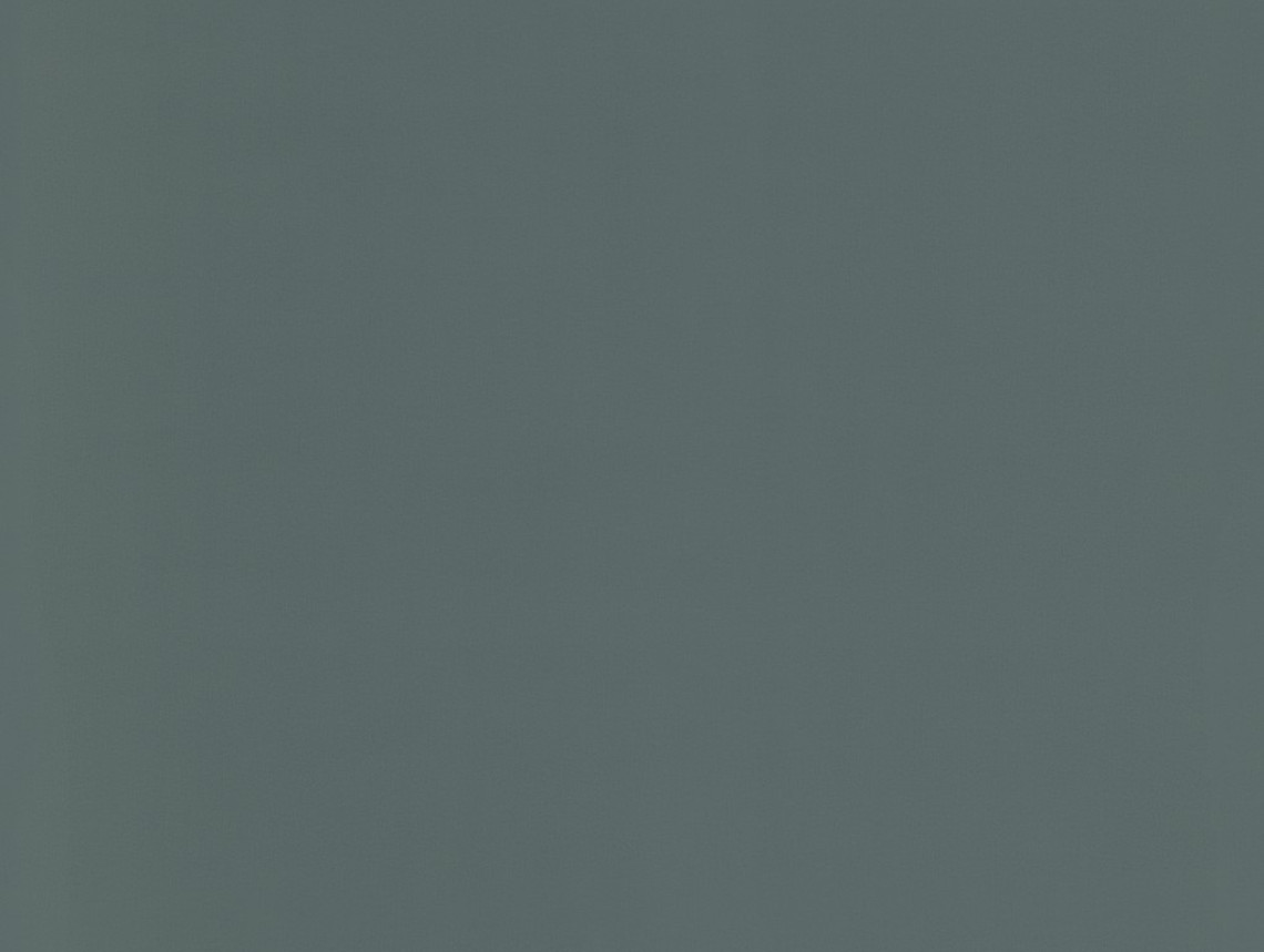Taralay Impression Compact - 1079 Uni Matt Dark Green